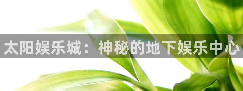 okooo澳客体育和杏耀是哪个公司的：太阳娱乐城：神秘的地下娱乐中心