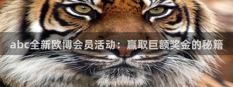 okooo澳客体育：abc全新欧博会员活动：赢取巨额奖金的秘籍
