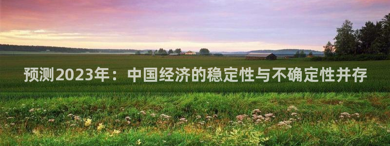 okooo澳客现在优惠多少：预测2023年：中国经济的稳定性与不确定性并存