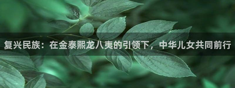 okooo澳客2注册：复兴民族：在金泰熙龙八夷的引领下，中华儿女共同前行