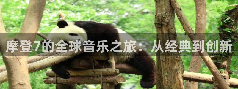 okooo澳客包怎么样：摩登7的全球音乐之旅：从经典到创新