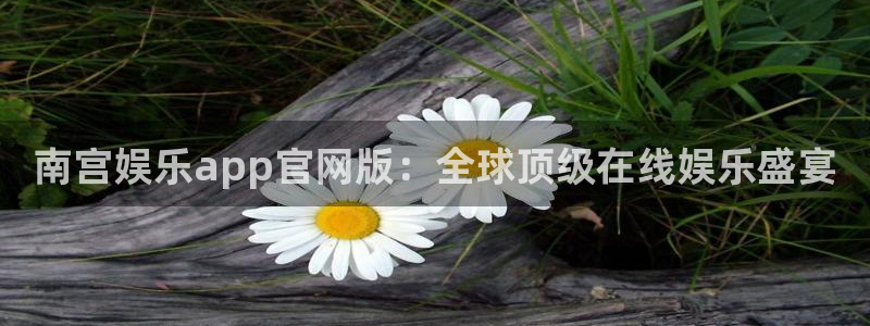 okooo澳客：南宫娱乐app官网版：全球顶级在线娱乐盛宴