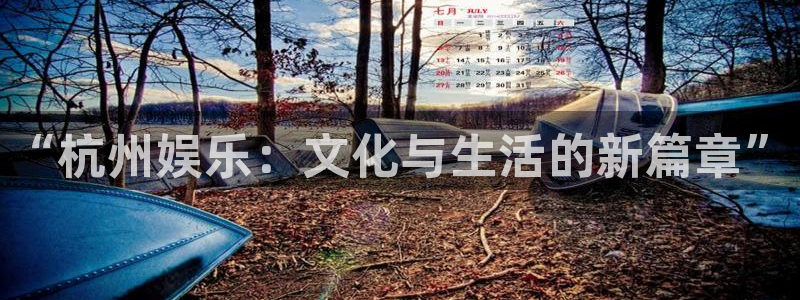 成都okooo澳客电子有限公司：“杭州娱乐：文化与生活的新篇章”