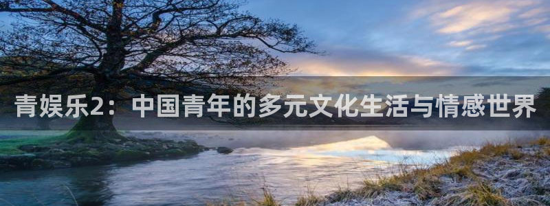 okooo澳客vk：青娱乐2：中国青年的多元文化生活与情感世界