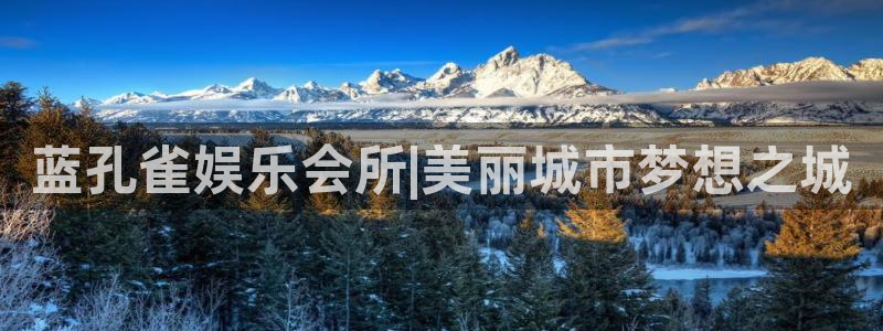 okooo澳客零能源集团：蓝孔雀娱乐会所|美丽城市梦想之城