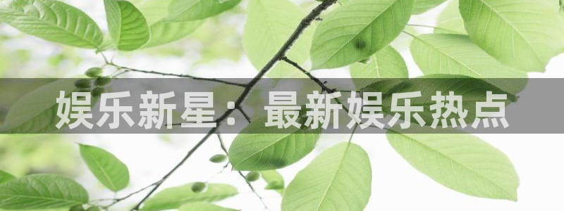 okooo澳客平台注册：娱乐新星：最新娱乐热点