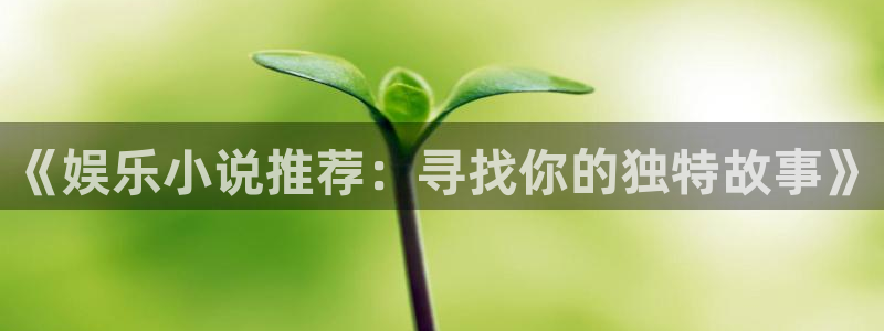 okooo澳客2平台登录：《娱乐小说推荐：寻找你的独特故事》