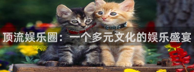 okooo澳客体育app下载：顶流娱乐圈：一个多元文化的娱乐盛宴