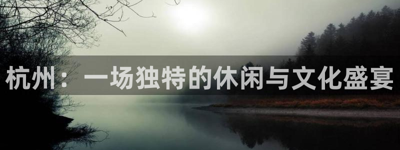 成都okooo澳客电子有限公司：杭州：一场独特的休闲与文化盛宴