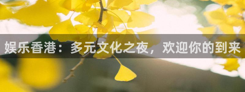 okooo澳客体育注册：娱乐香港：多元文化之夜，欢迎你的到来