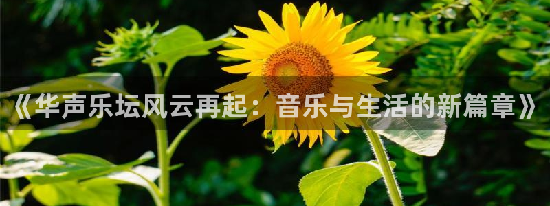 佛山市南海okooo澳客机电仪器有限公司：《华声乐坛风云再起：音乐与生活的新篇章