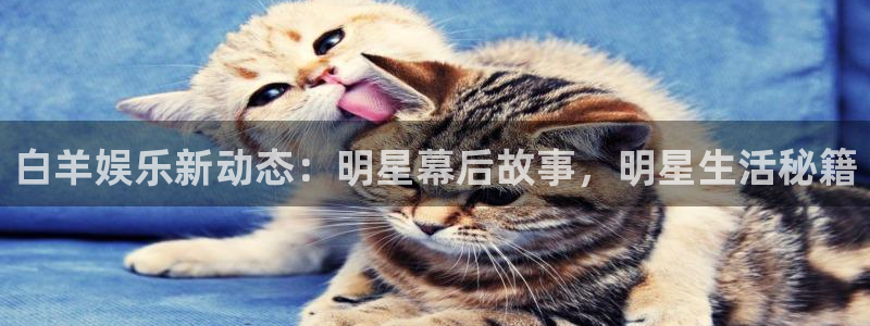 okooo澳客体育用品：白羊娱乐新动态：明星幕后故事，明星生活秘籍