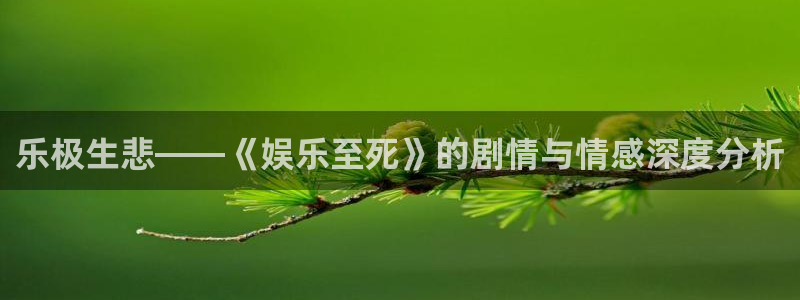 okooo澳客体育官网入口登录：乐极生悲——《娱乐至死》的剧情与情感深度分析