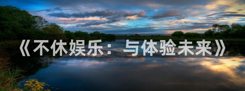 okooo澳客平台开户链接：《不休娱乐：与体验未来》