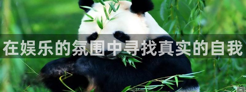 okooo澳客官网入口：在娱乐的氛围中寻找真实的自我