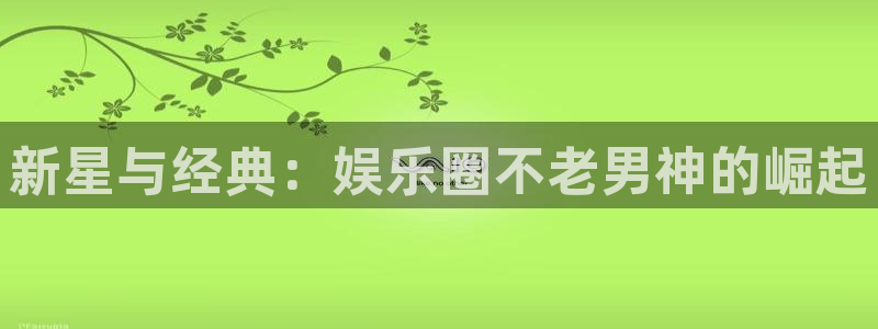 okooo澳客凯捷开号链接：新星与经典：娱乐圈不老男神的崛起
