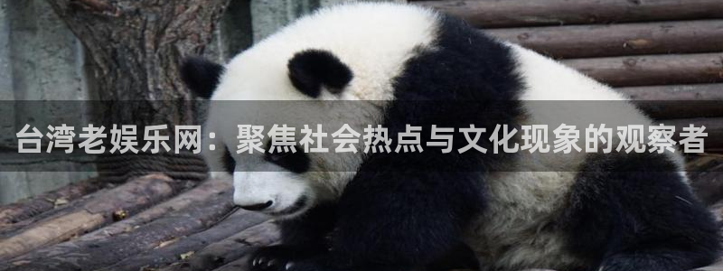 okooo澳客平台官网：台湾老娱乐网：聚焦社会热点与文化现象的观察者