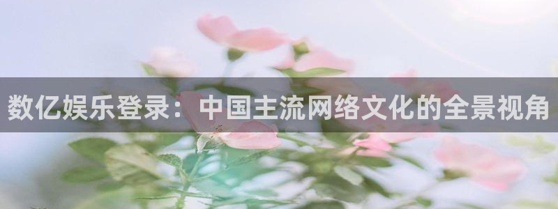 okooo澳客能源：数亿娱乐登录：中国主流网络文化的全景视角