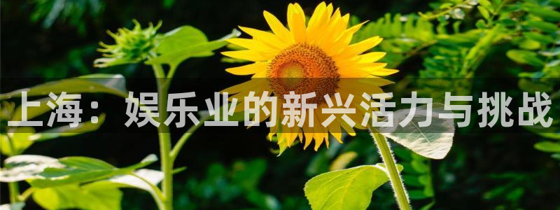 okooo澳客凯捷开号链接：上海：娱乐业的新兴活力与挑战