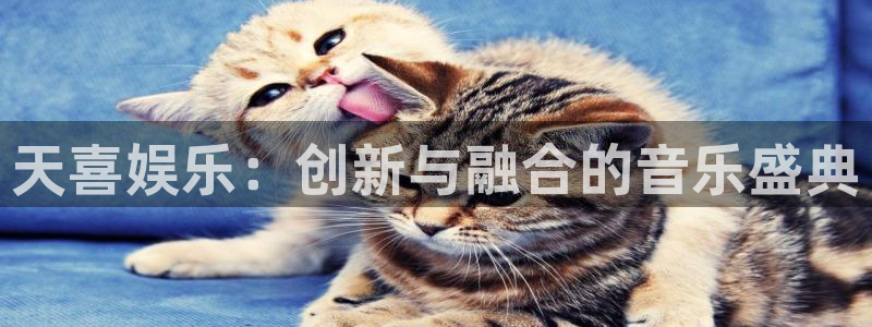 okooo澳客体育官网登录：天喜娱乐：创新与融合的音乐盛典